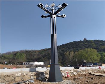 山西省運(yùn)城市高桿景觀道路路燈項(xiàng)目